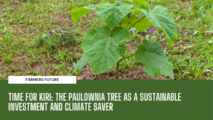 Paulownia tree for climate - Farmers Future